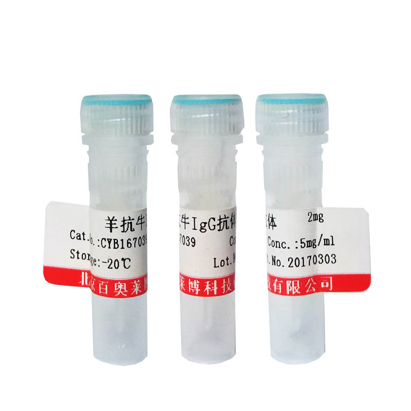 细胞色素P450 2C9抗体北京价格