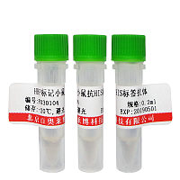 北京现货K11249型乳腺癌相关蛋白1抗体销售