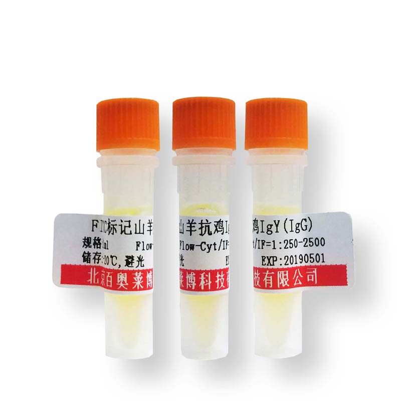北京缺氧诱导因子3α/HIF-3α抗体厂商