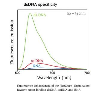 微量双链DNA定量试剂盒