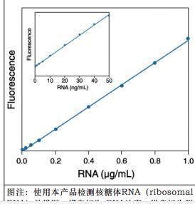 微量RNA定量试剂盒