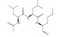 钙蛋白酶抑制剂Ⅱ溶液，10mg/mL