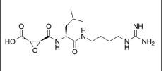 E-64蛋白酶抑制剂溶液，20mg/mL