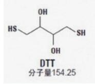 DTT，蛋白级