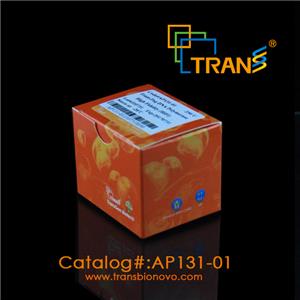 TransTaq DNA Polymerase High Fidelity