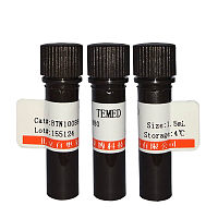 HMG-CoA Reductase抑制剂(Simvastatin)销售