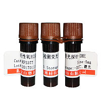 Caspase抑制剂(Z-VAD-FMK)说明书