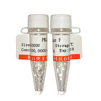 北京猪脏器组织中性粒细胞分离液说明书