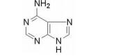 6-苄基氨基嘌呤