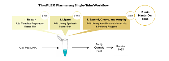 DNA测序试剂盒-卓越品牌Rubicon genomics