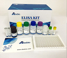 Bovine Acetylcholinesterase (ACHE) ELISA Kit