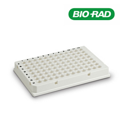 HSP-96,WHT/CLR 50/BX 伯乐PCR板