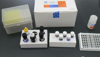 谷氨酸（Glu）含量测试盒