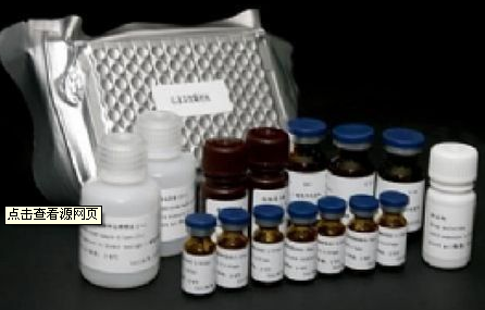 还原型谷胱甘肽（GSH）测试盒