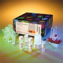 血清内毒素检测试剂盒（鲎试剂）