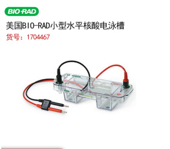 BIO-RAD伯乐Mini-Sub Cell GT System 小型水平核酸电泳槽1704467