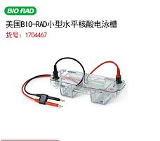 BIO-RAD伯乐Mini-Sub Cell GT System 小型水平核酸电泳槽1704467