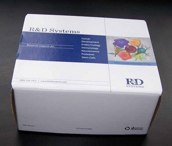 莱克多巴胺（RAC）高效液相测试盒