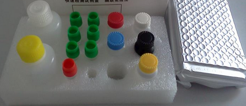 睾酮含量测定试剂盒