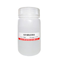 北京现货PI-SceI归位内切酶优惠价