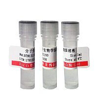 北京现货Quick-Load 50 bp DNA Ladder厂家直销