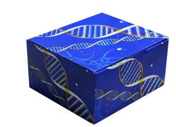 洛美沙星残留ELISA检测试剂盒（抗生素残留）