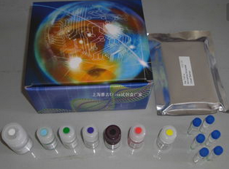 皮质酮（CORT）含量ELISA检测试剂盒