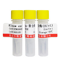 T4 DNA 连接酶厂家