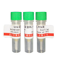 北京LpnPI限制性内切酶现货价格