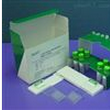 H5N1禽流感荧光定量PCR检测试剂盒