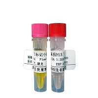 kFluor680标记山羊抗兔IgG(H+L)厂家