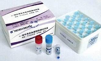 阪崎肠杆菌PCR试剂盒