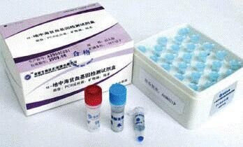 肠道病毒EV71/柯萨奇病毒A16型2联PCR检测试剂盒