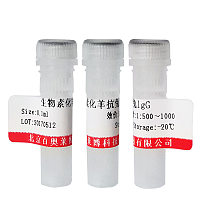 抗β-Actin鼠单克隆抗体价格