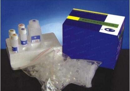 副结核杆菌PCR检测试剂盒