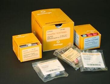 流行性出血热汉坦病毒PCR检测试剂盒