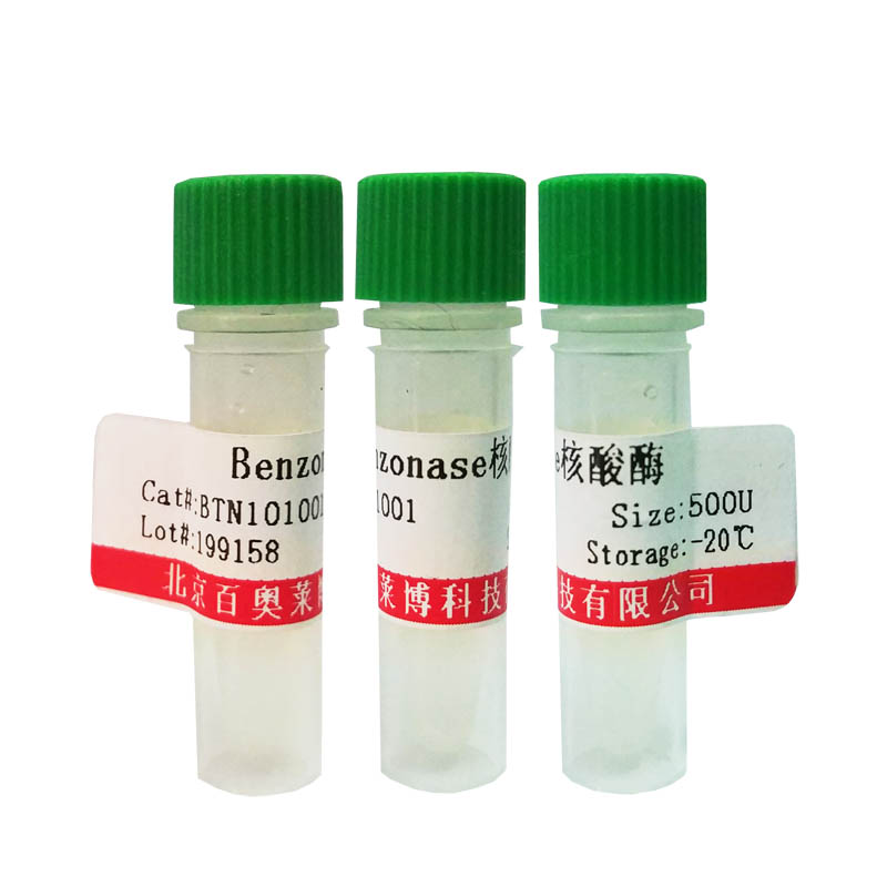 M-MuLV反转录酶(不含RNase H活性) 核酸扩增(PCR)