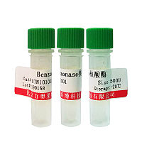 M-MuLV反转录酶(不含RNase H活性) 核酸扩增(PCR)
