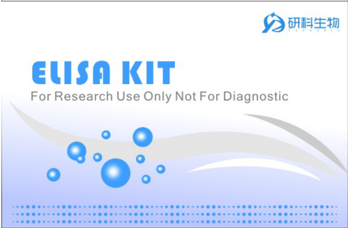人甲胎蛋白（AFP）定量检测试剂盒（ELISA）