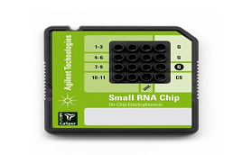 Agilent Small RNA kit