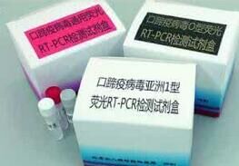 高致病性猪蓝耳病病毒（PRRSV-M）核酸检测试剂盒（RT-PCR法）