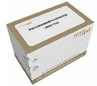 伯氏疏螺旋体（BB）核酸检测试剂盒（PCR-荧光探针法）