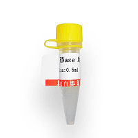 北京牛血清白蛋白溶液现货供应