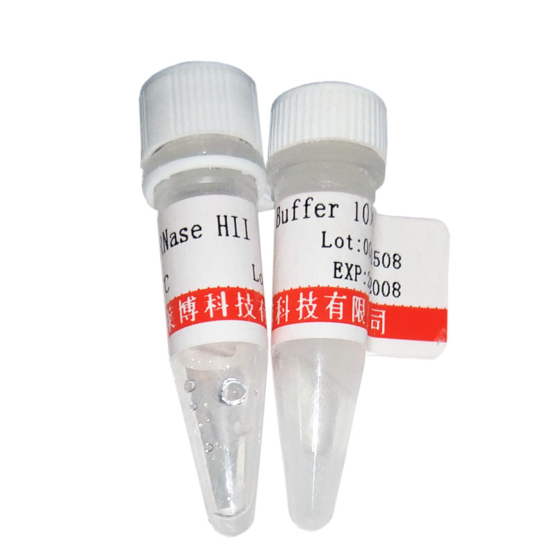 GL0497型细胞色素氧化酶染色液(对苯二铵法)优惠