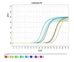 microRNAs qRT-PCR定量检测