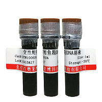 苏丹Ⅲ酒精饱和溶液厂家价格