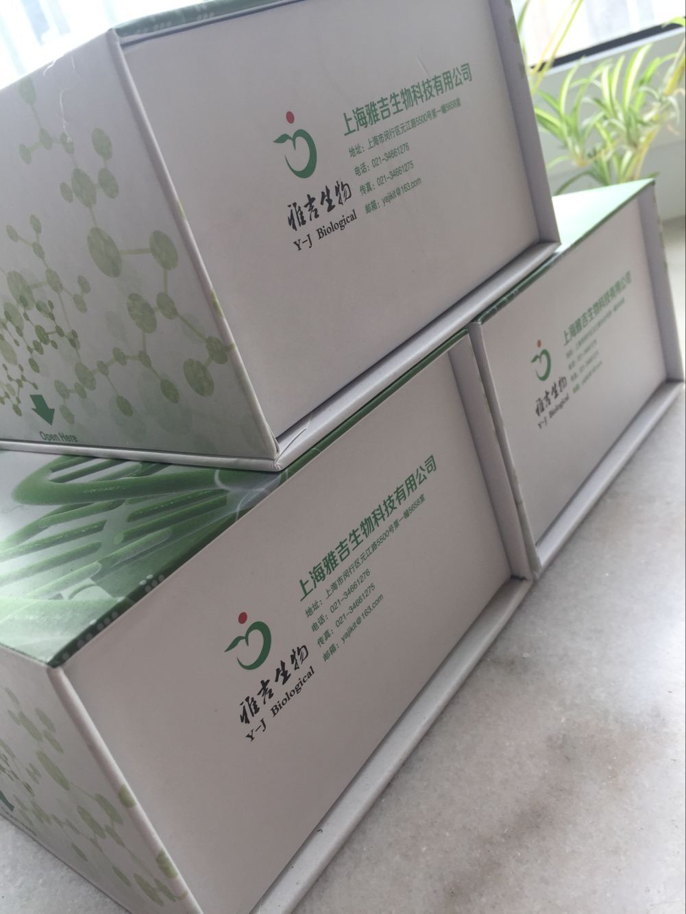 植物叶绿素a氧化酶(CAO)ELISA试剂盒