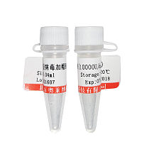 甘油-亚甲蓝染色液说明书