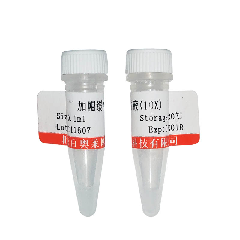GL1303型明胶水溶液(2%,PCR级)供应