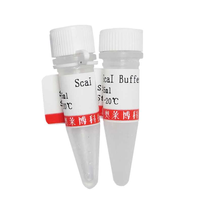 猴骨髓单个核细胞分离液品牌